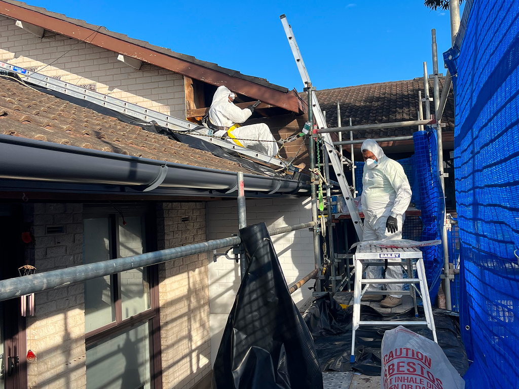 asbestos removal